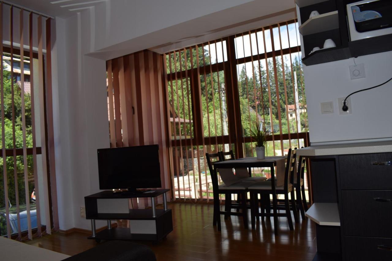 Alpin Residence 锡纳亚 外观 照片