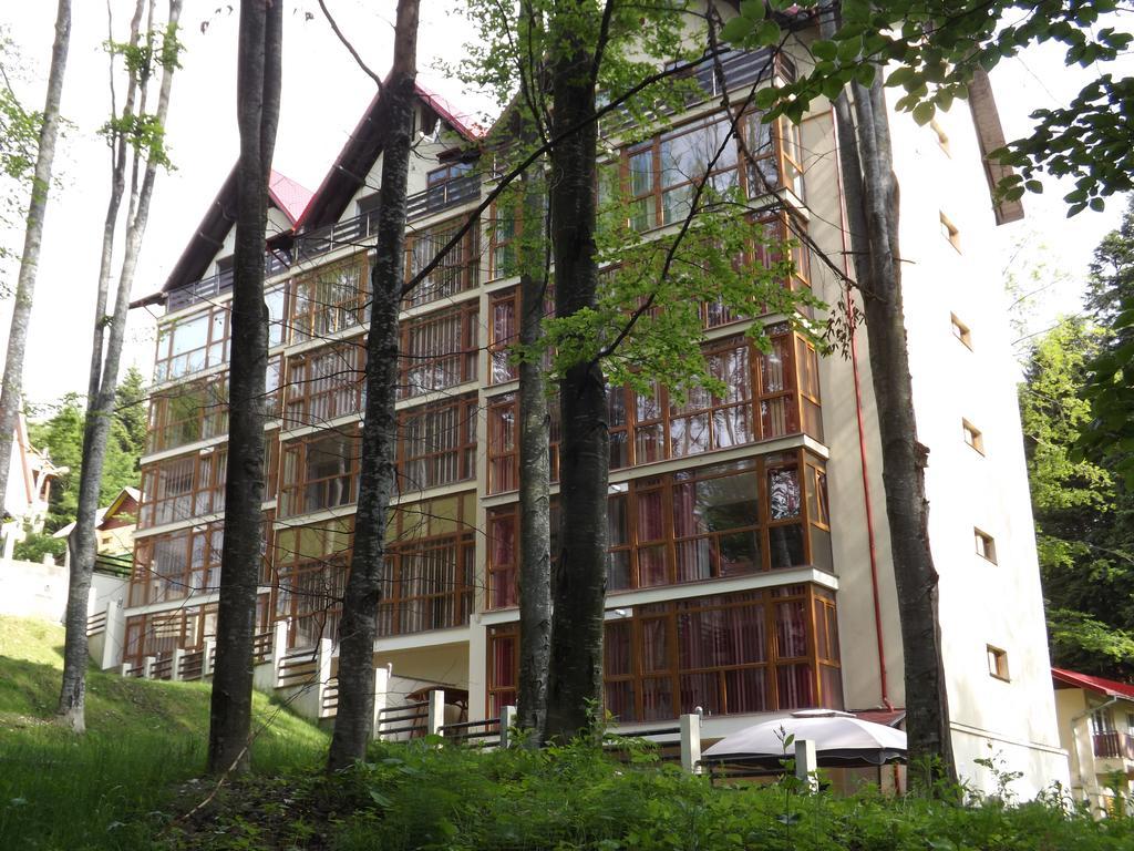 Alpin Residence 锡纳亚 外观 照片